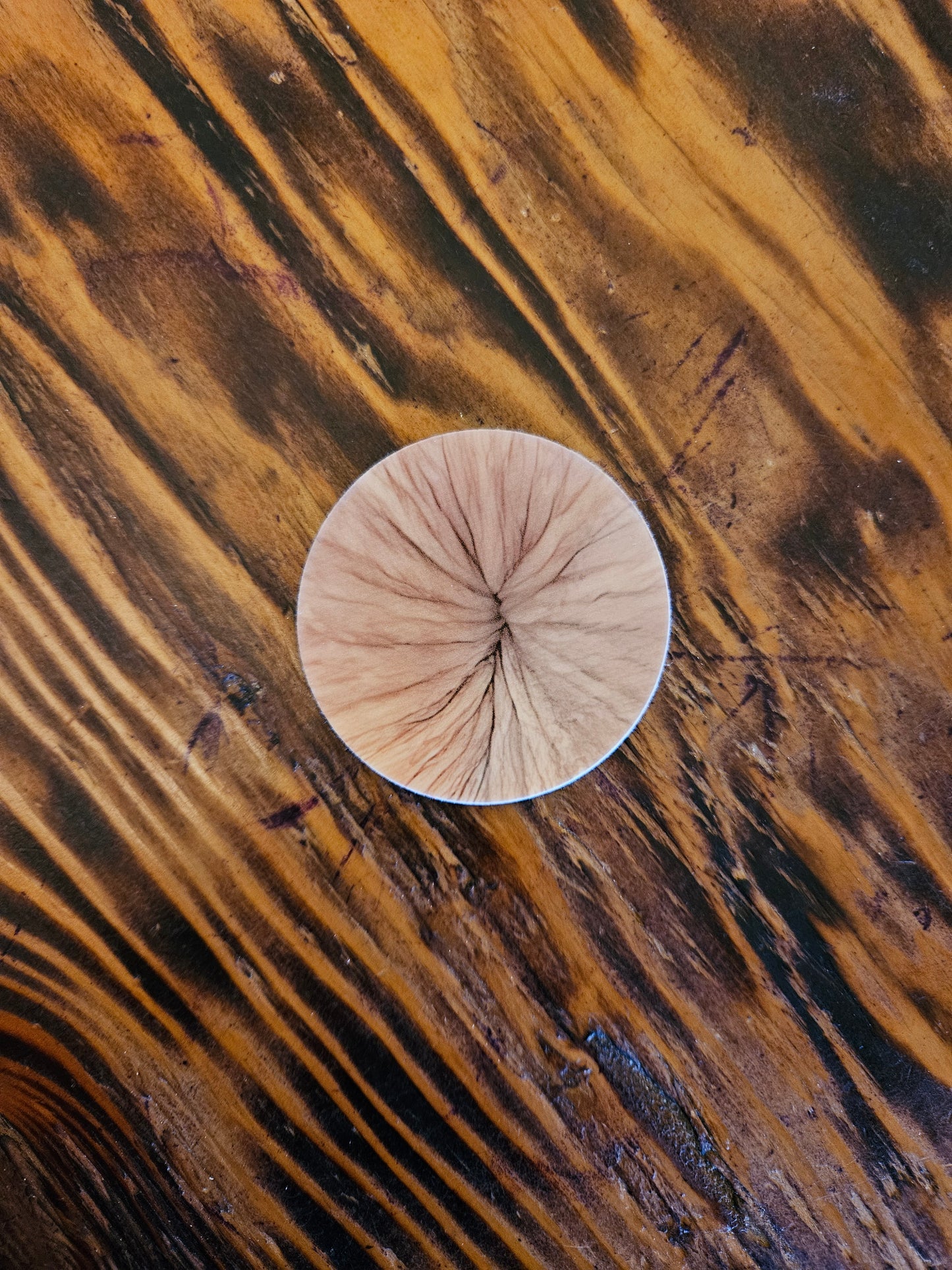 Loose Butthole Sticker