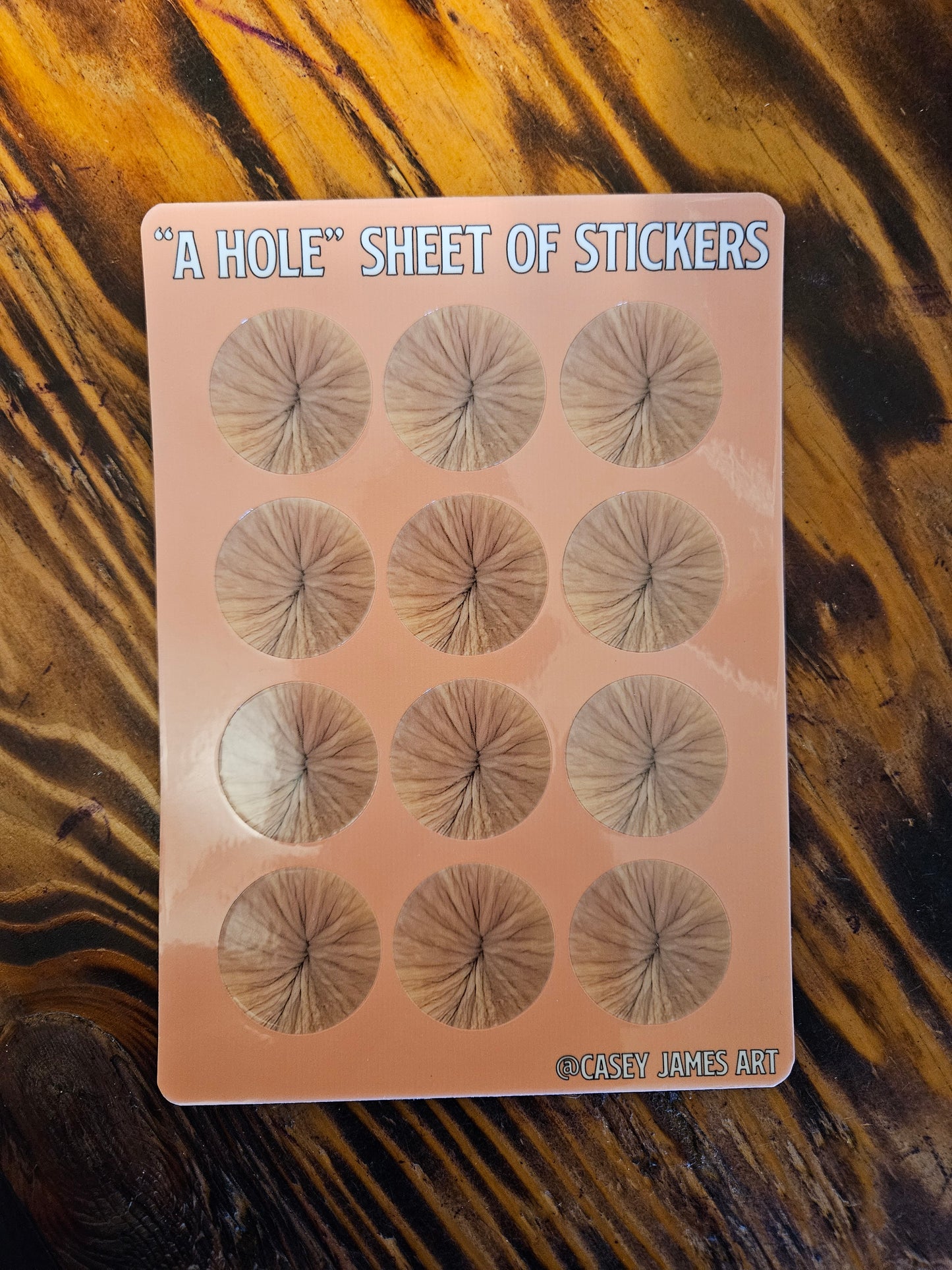 "A Hole" Sheet of Stickers